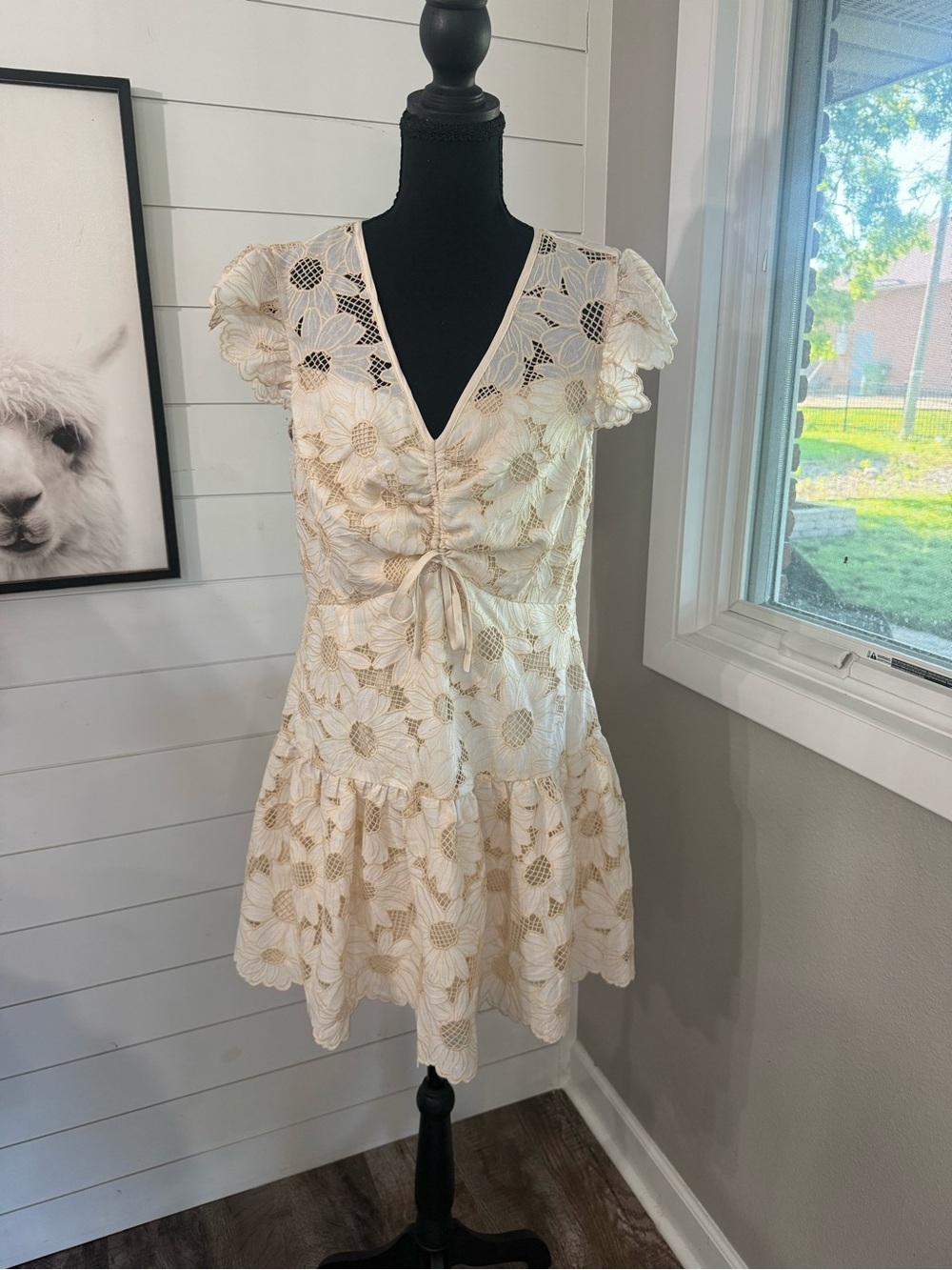 Everyday Chic Cream Floral Lace Ruffle Sleeve A-Line Mini Dress Size L NWT